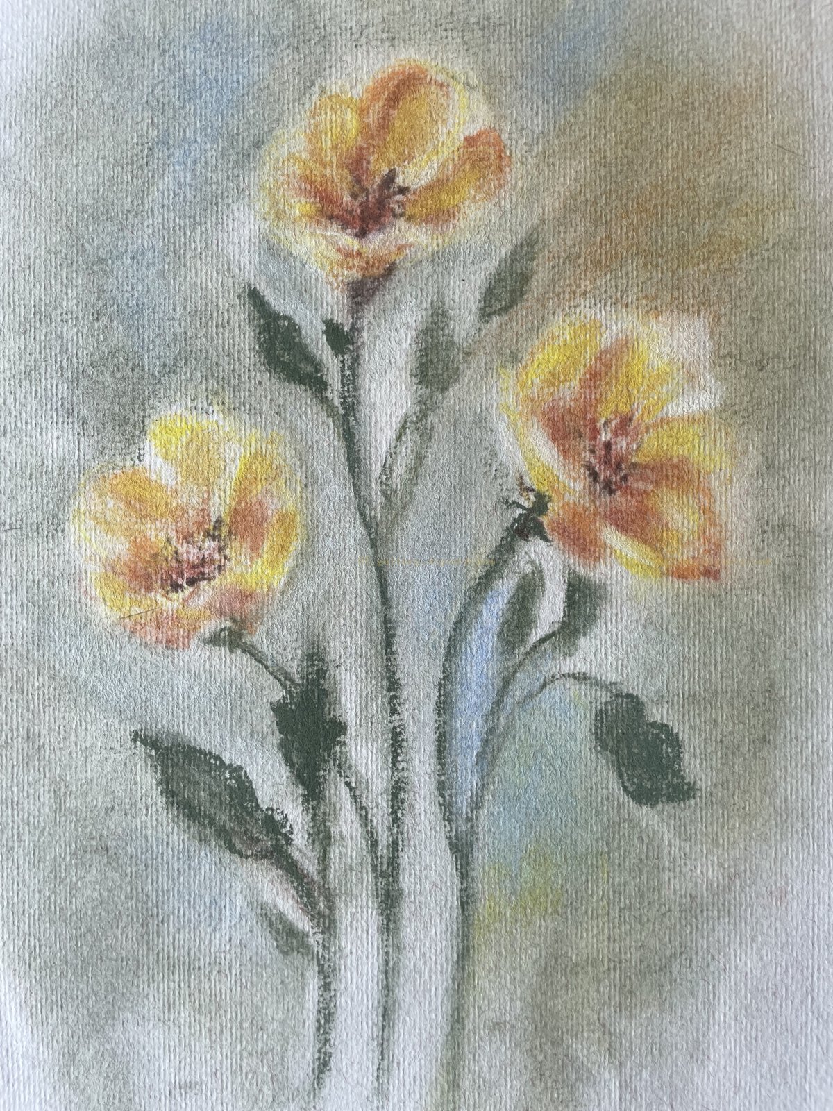 Golden Carnations