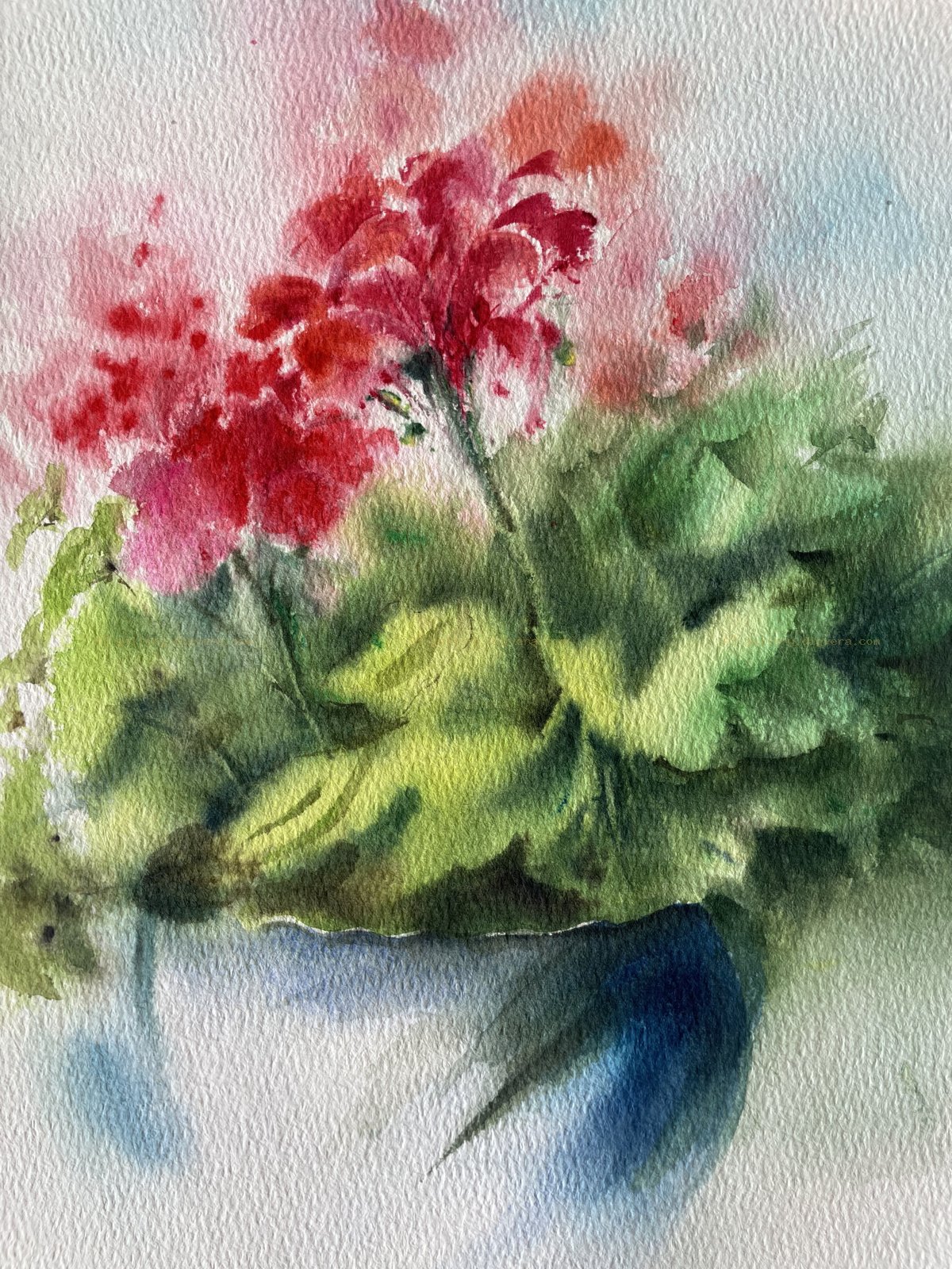 Crimson Geranium In Blue