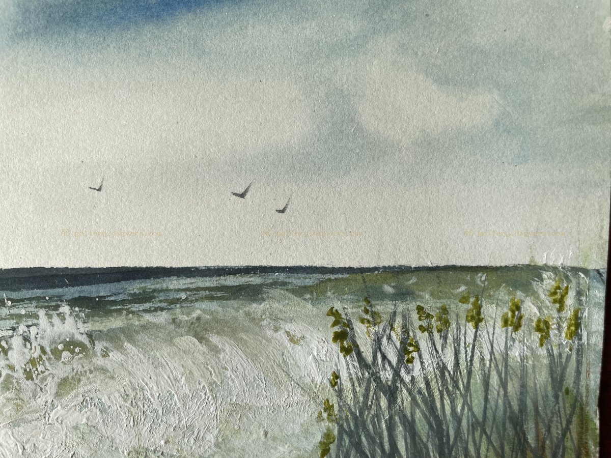Marsh Solitude