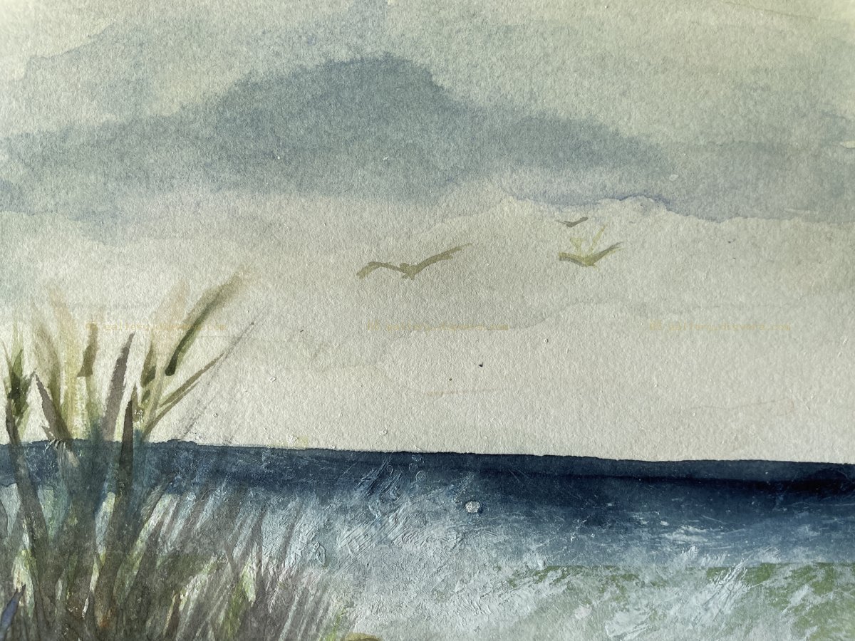 Misty Shoreline