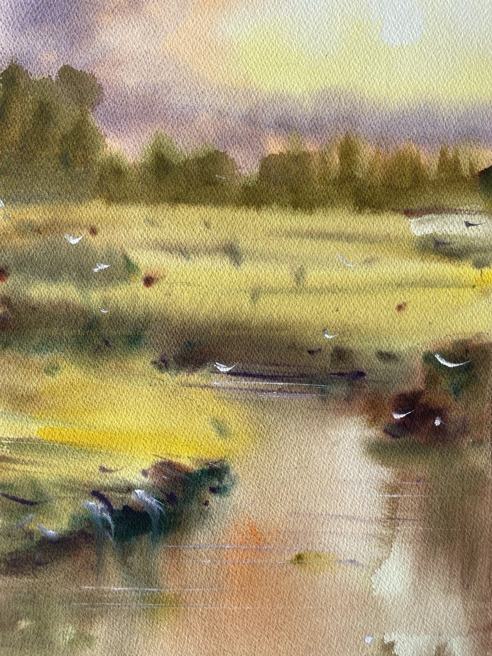 Misty Marshland Retreat