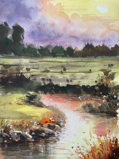 Wetland Reverie